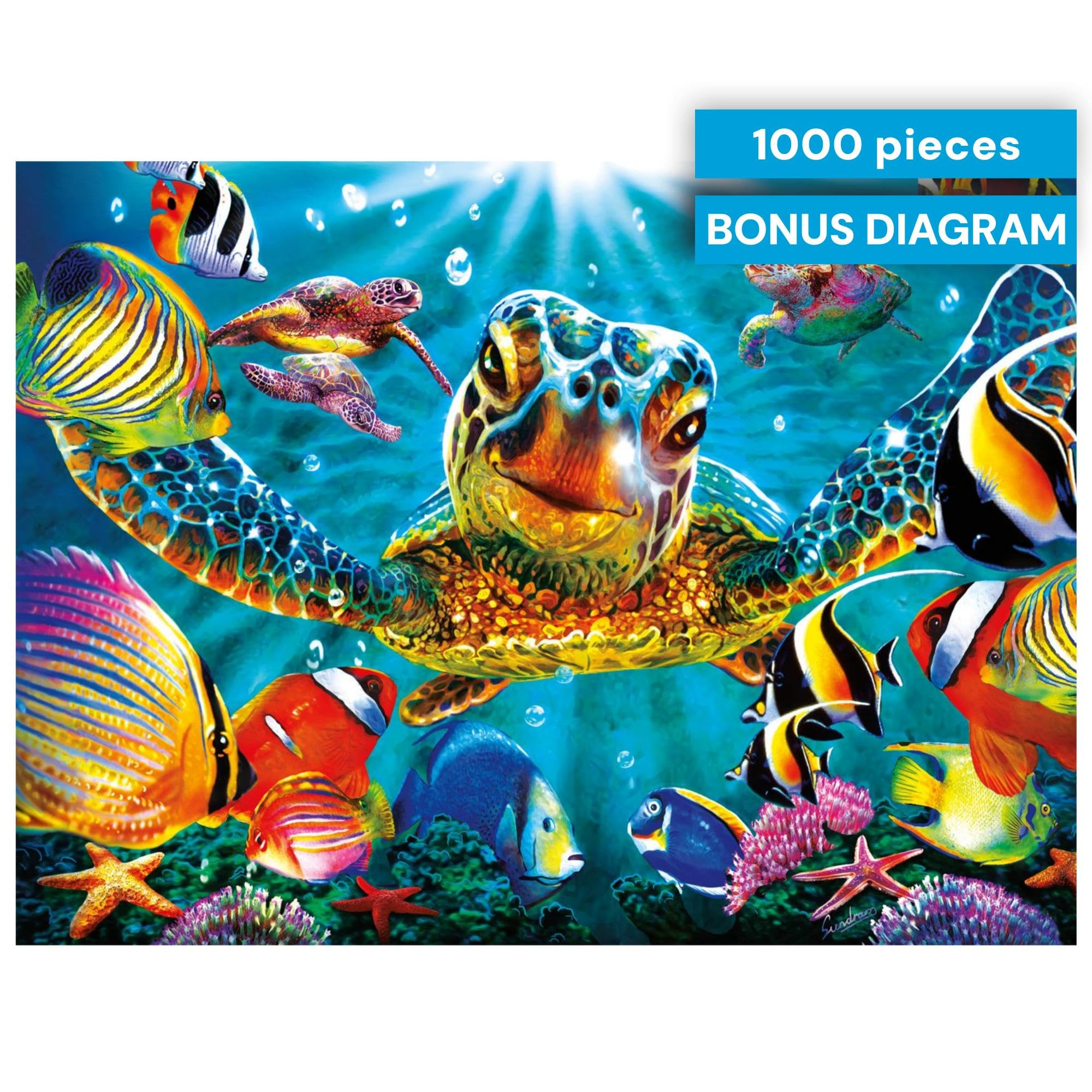 Amazon.com: Buffalo Games Steve Sundram - Tiny Bubbles - 1000